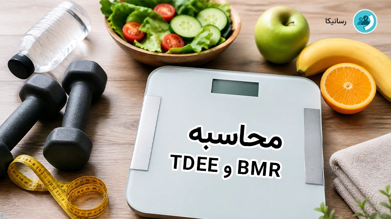 محاسبه BMR و TDEE کالری مصرفی و موردنیاز بدن | رسانیکا