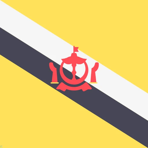 Brunei flag