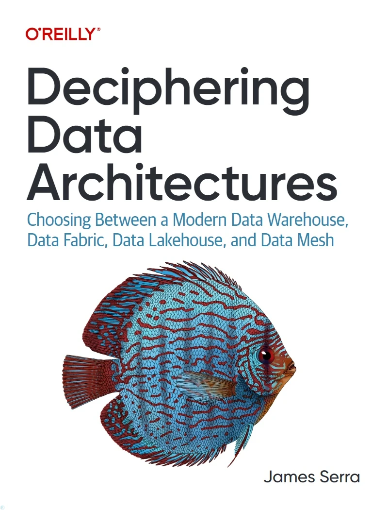 دانلود کتاب Deciphering Data Architectures: Choosing Between a Modern Data Warehouse, Data Fabric, Data Lakehouse, and Data Mesh (نسخه PDF)