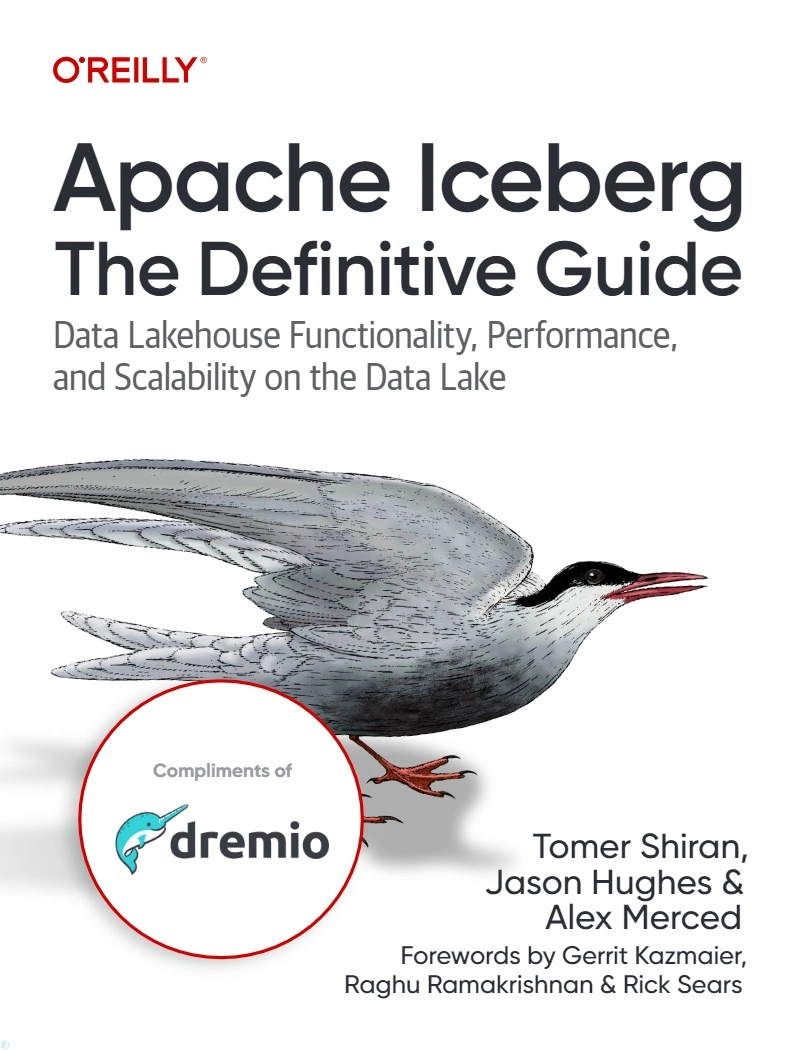 دانلود کتاب Apache Iceberg The Definitive Guide: Data Lakehouse Functionality, Performance, and Scalability on the Data Lake (نسخه PDF)