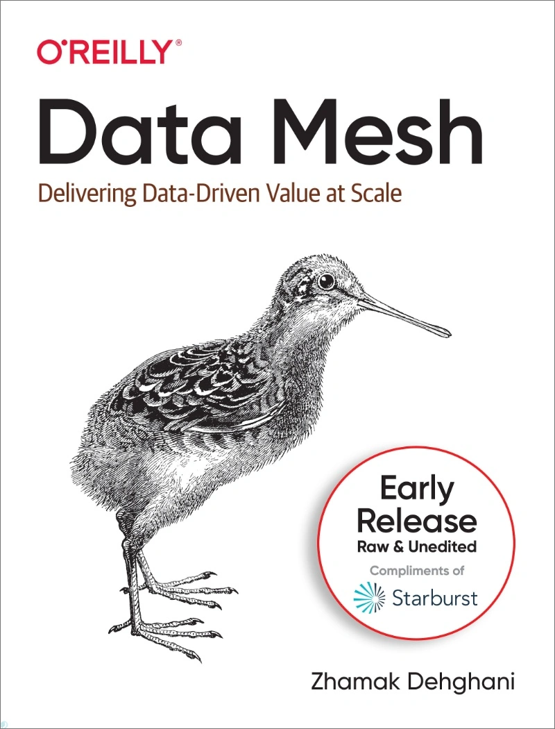 دانلود کتاب Data Mesh: Delivering Data-Driven Value at Scale (نسخه PDF)