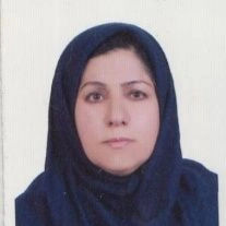 تلفن و آدرس مطب گل نسا صدری نسب در شیراز
