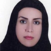 تلفن و آدرس مطب صفورا صادقی مزیدی در بندرعباس