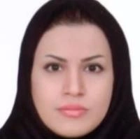 تلفن و آدرس دکتر سرور رجب کردی در رودهن (رادیولوژی)