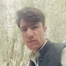 Mohammad halim hakimi