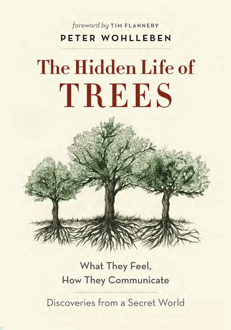 کتاب زندگی پنهان درختان (PDF + خلاصه صوتی) The Hidden Life of Trees