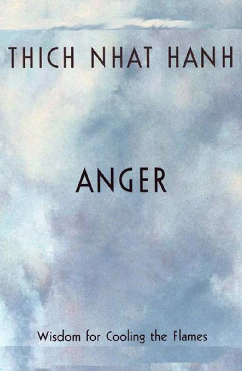 کتاب خشم (PDF + خلاصه صوتی) Anger