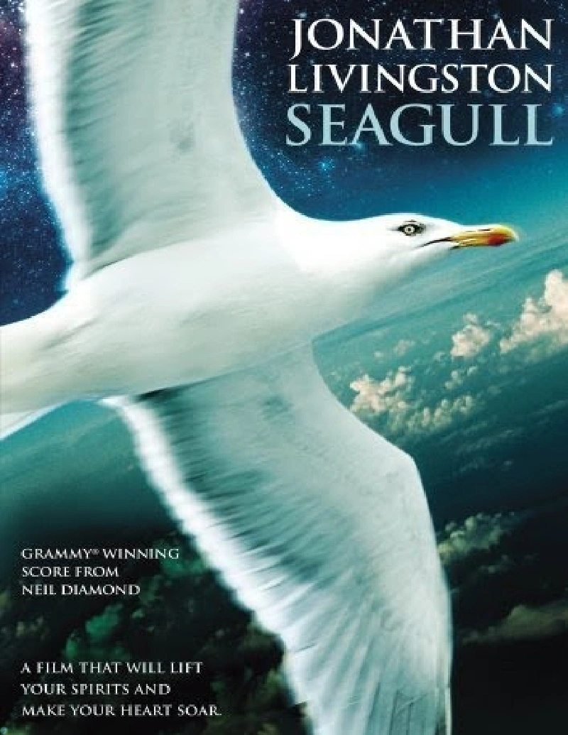 کتاب جاناتان مرغ دریایی (PDF + خلاصه صوتی) Jonathan Livingston Seagull