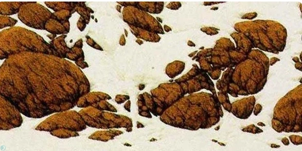 این عکس چیه؟ فقط 1 درصد جواب درست دادن