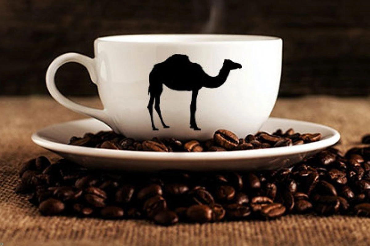 تصویر شتر در فال قهوه