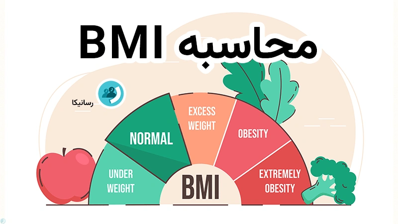 محاسبه BMI دقیق | کاربردی‌ترین ابزار محاسبه شاخص توده بدنی 2025