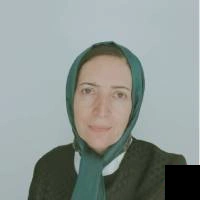تلفن و آدرس دکتر شیرین حسنی رنجبر در تهران (غدد و متابولیسم)