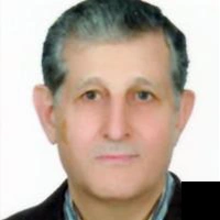 تلفن و آدرس دکتر بیژن ملک احمدی در تهران (زنان و زایمان)