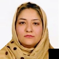 تلفن و آدرس دکتر پویا محقق زاده در دزفول (جراحی مغز و اعصاب)