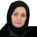 تلفن و آدرس دکتر وجیه مدرسی سریزدی در یزد (اطفال)