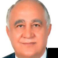 تلفن و آدرس دکتر بیژن سرلک گودرزی در تهران (زنان و زایمان)