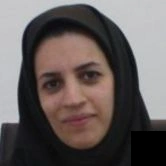 تلفن و آدرس دکتر سعیده عاقلی نژاد در یزد (زنان و زایمان)