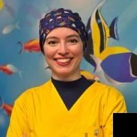 تلفن و آدرس دکتر مینا سیدین آزاد در تهران (دندانپزشکی)