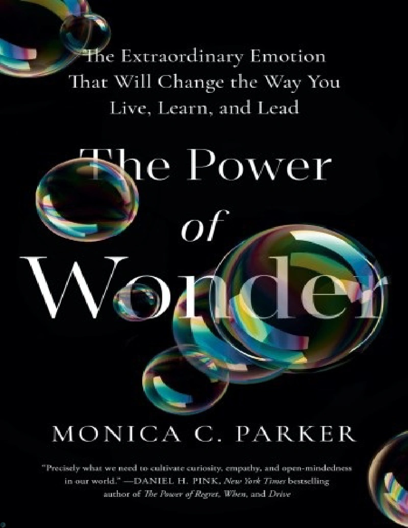 کتاب قدرت شگفتی (PDF + خلاصه صوتی) The Power of Wonder