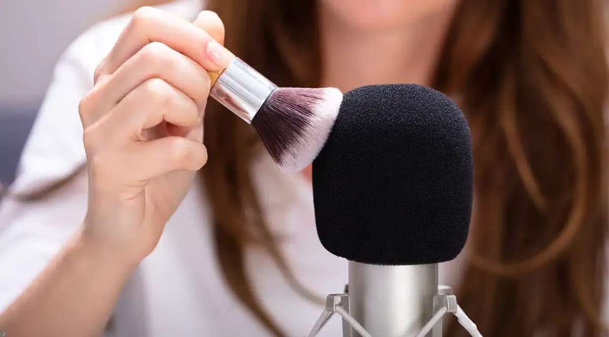 ای‌اس‌ام‌آر چیست؟