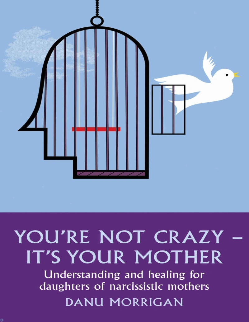 کتاب تو دیوانه نیستی، این مادرِ توست (PDF + خلاصه صوتی) You're Not Crazy - It's Your Mother