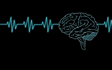 👌🏽 ساخت یک مغز کارآمد👌🏽 برای ساختن یک مغز متمرکزتر، آرام‌تر و کارآمدتر، اولین قدم، شناخت علمی و دقیق اونه تا بر اساس نقشه مغزی شما، یک برنامه تمرینی اختصاصی طراحی کنن.