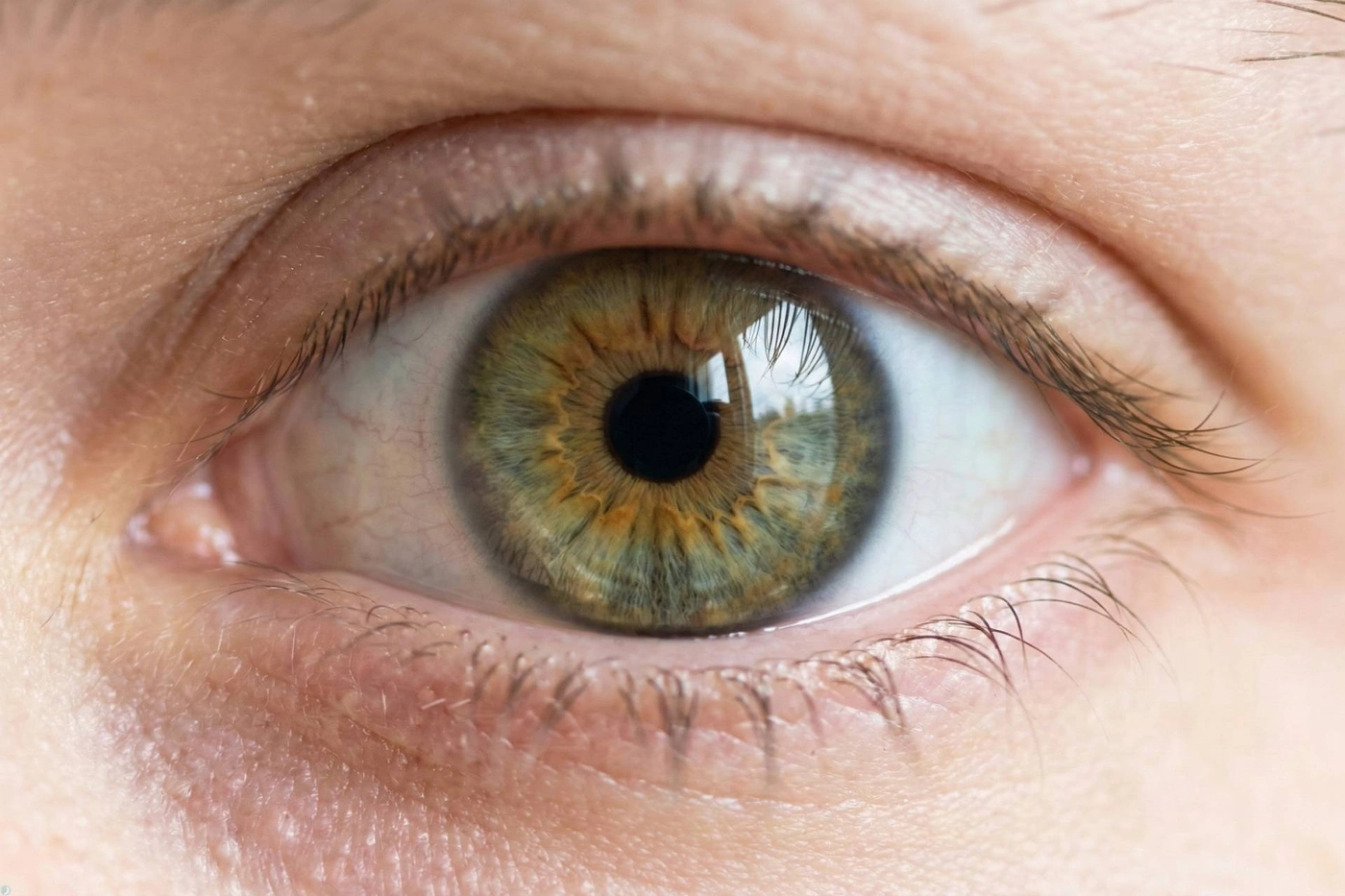 خاموش‌کردن موقت بینایی؛ رویکردی نویدبخش برای درمان تنبلی چشم در بزرگسالان