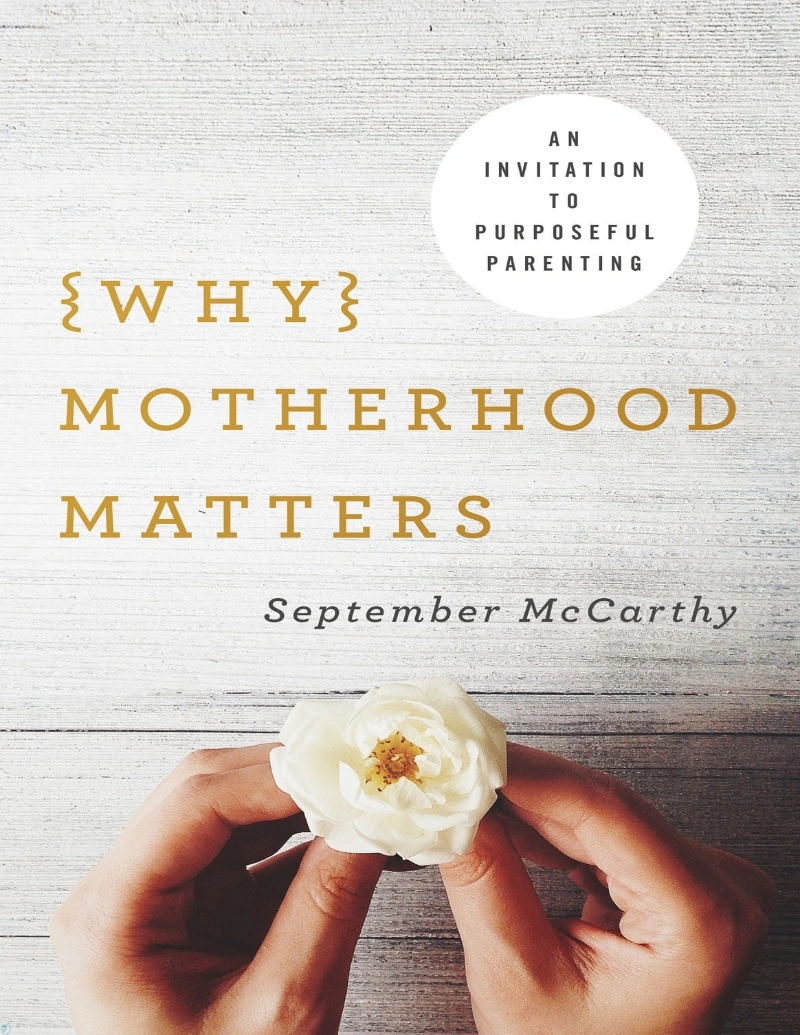 کتاب چرا مادری مهم است (PDF + خلاصه صوتی) Why Motherhood Matters