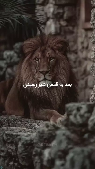 گول ظاهر زندگی بقیه رو نخور!