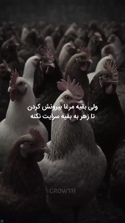 اشک‌های مراسم خاکسپاری، از درد نیست، از حسرته