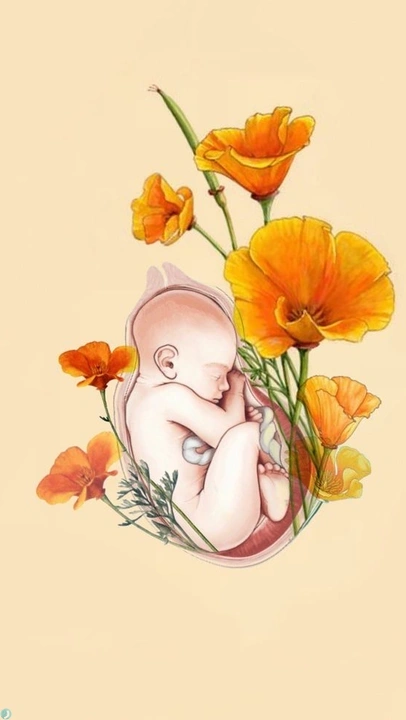 آیا انسان بعد از مرگ همچنان زنده است؟