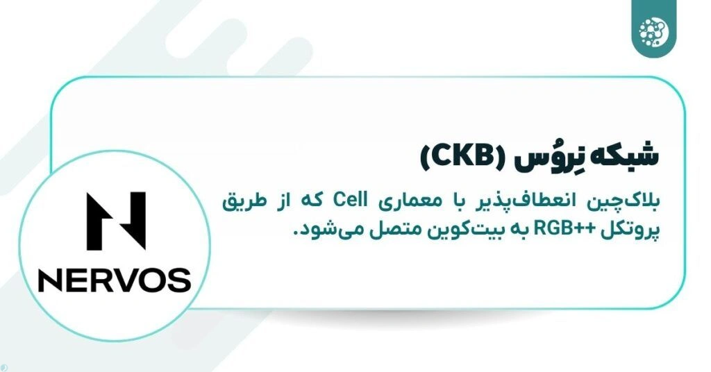 شبکه نروس بیت کوین