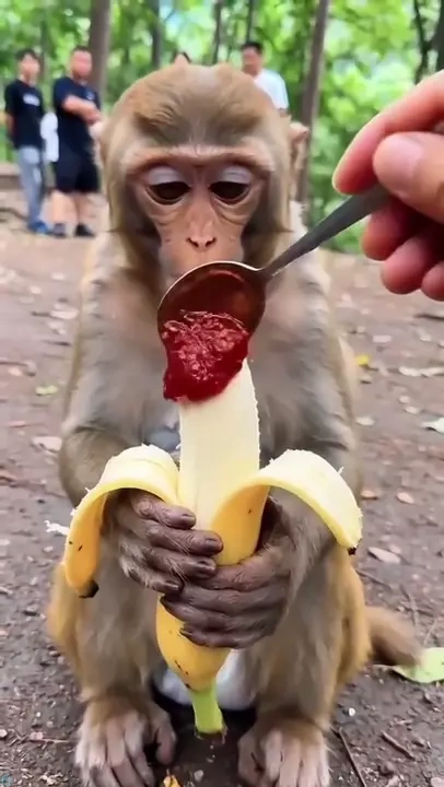 حیوان آزاری تو روز روشن😔