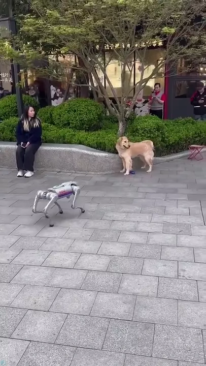 ترس بامزه سگ از ربات