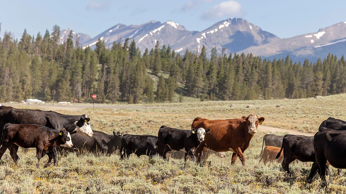 5 ایالت بدون جمعیت آمریکا