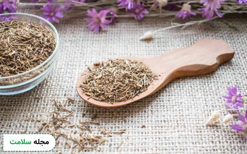 سنبل الطیب چیست و از کجا می آید؟