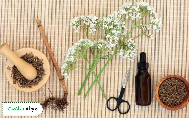 موارد منع مصرف و احتیاط مصرف سنبل الطیب چیست؟