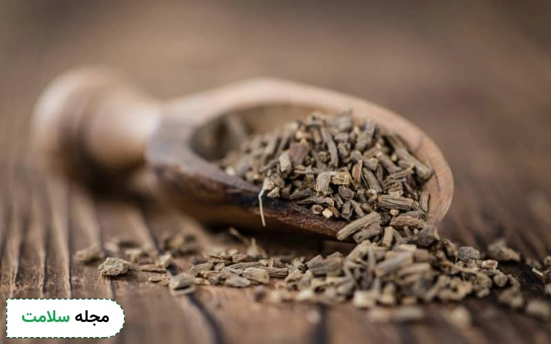 سنبل الطیب چیست و چه خواصی دارد؟