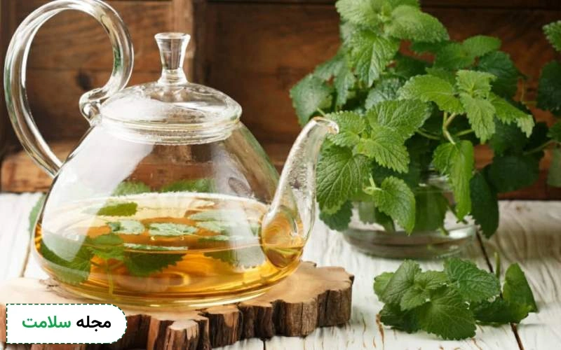 بادرنجبویه چیست و از کجا می آید؟