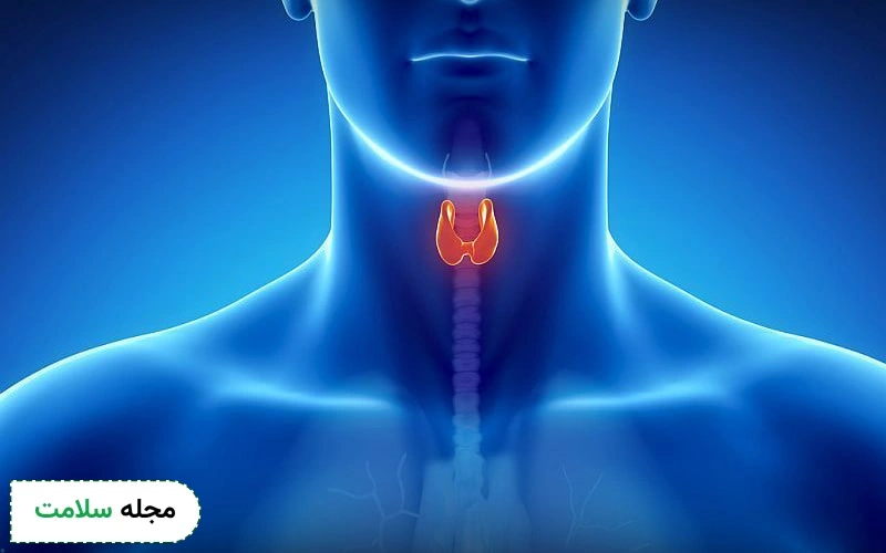 معرفی انواع قرص تیروئید پرکار و اثربخشی آن