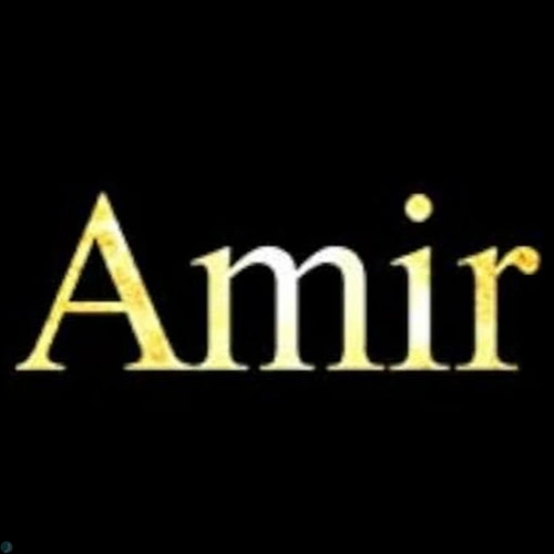 amir rezaee