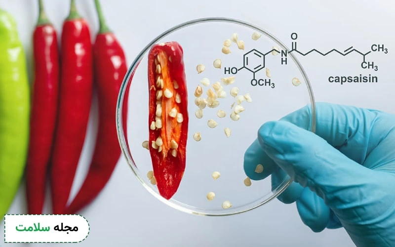 نحوه مصرف کپسایسین چگونه باید باشد؟