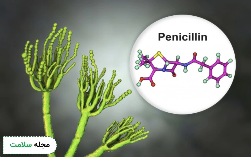 داروی پنی سیلین چیست؟