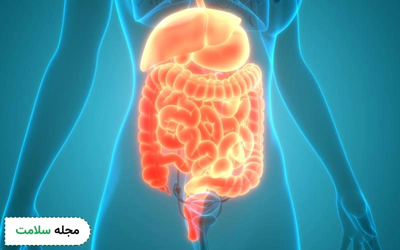 قرص دایجستیو برای چیست؟