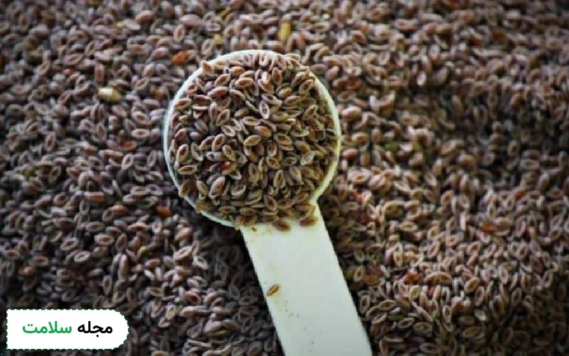 خواص اسفرزه برای کبد