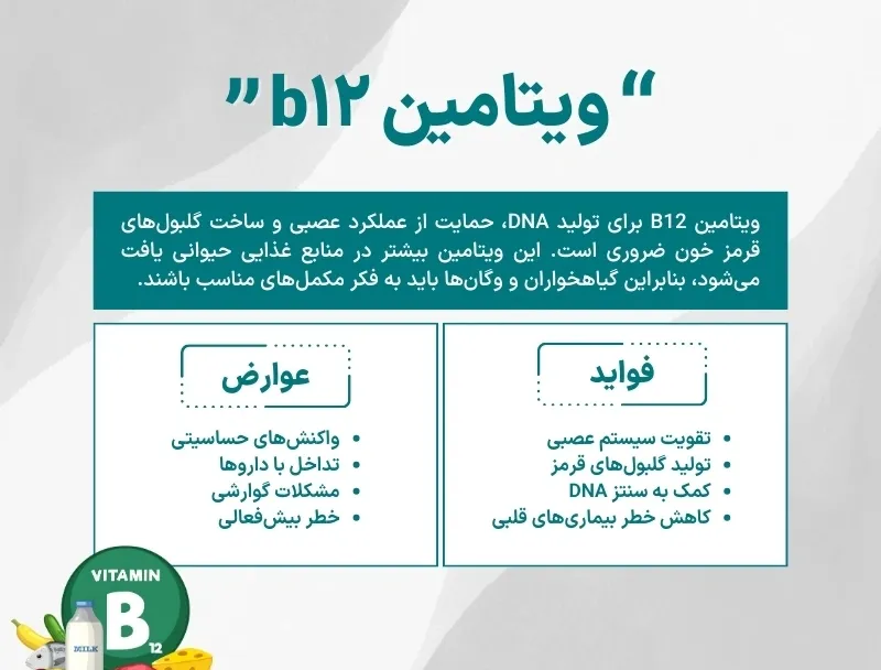 اینفوگرافی ویتامین ب ۱۲