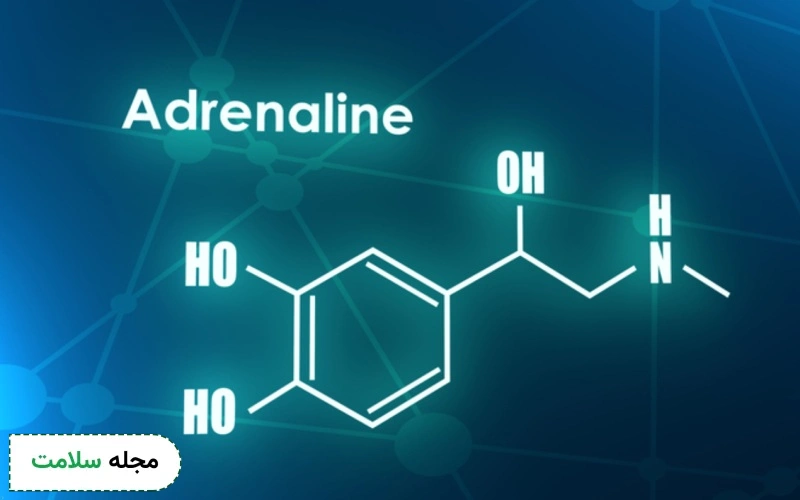 آدرنالین یا هورمون هیجان چیست؟ + علائم آدرنالین بالا و روش کنترل آن