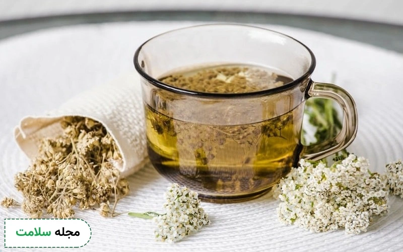 نحوه مصرف و خواص بومادران برای گوارش