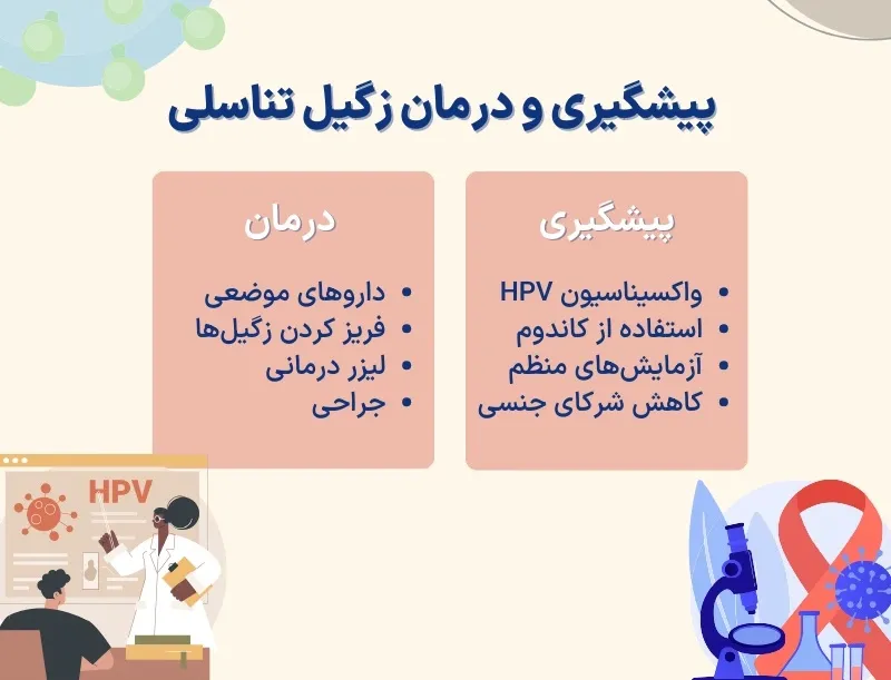 اینفوگرافی زگیل تناسلی