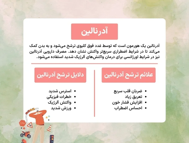 اینفوگرافی هورمون آدرنالین